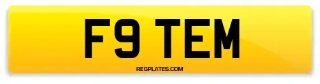 F9 TEM