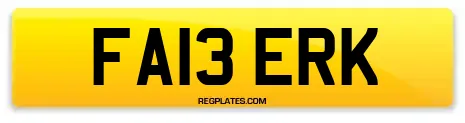 FA13 ERK