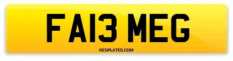 FA13 MEG