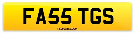 FA55 TGS
