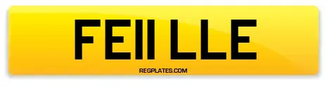 FE11 LLE