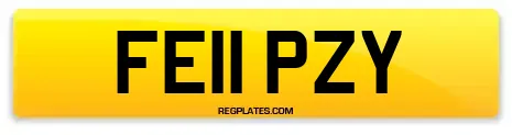 FE11 PZY