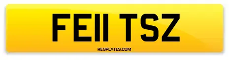 FE11 TSZ