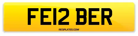 FE12 BER