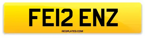 FE12 ENZ