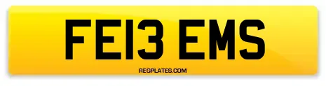 FE13 EMS