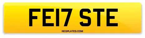 FE17 STE