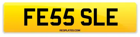 FE55 SLE
