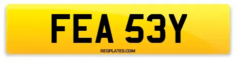 FEA 53Y