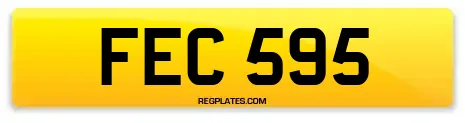 FEC 595