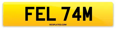 FEL 74M