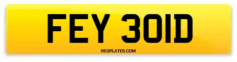 FEY 301D