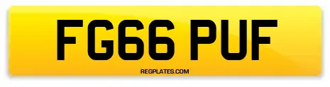 FG66 PUF