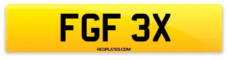FGF 3X