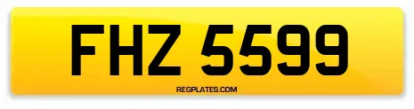 FHZ 5599