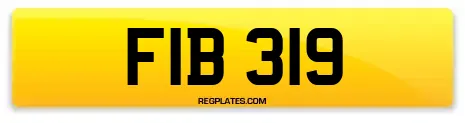 FIB 319