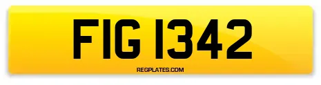 FIG 1342