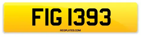 FIG 1393
