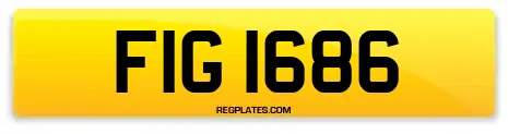 FIG 1686