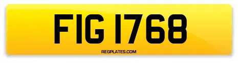 FIG 1768
