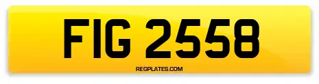 FIG 2558