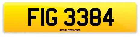 FIG 3384