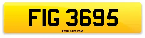 FIG 3695