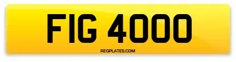 FIG 4000
