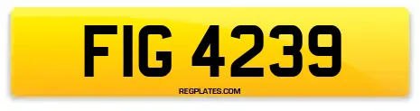 FIG 4239