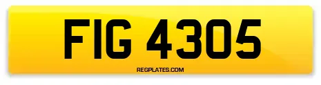 FIG 4305