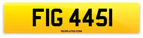 FIG 4451