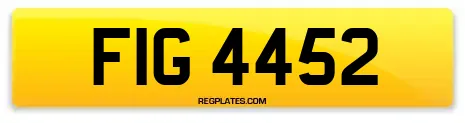 FIG 4452