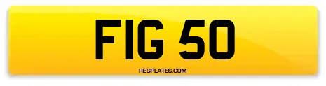 FIG 50