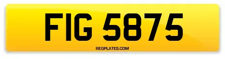 FIG 5875