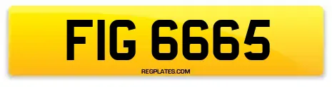 FIG 6665