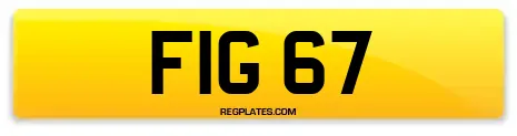 FIG 67