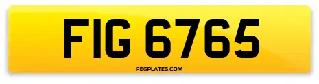 FIG 6765