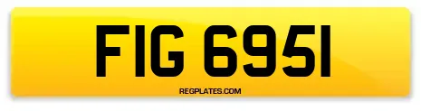 FIG 6951