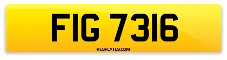 FIG 7316