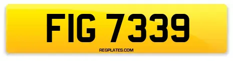 FIG 7339