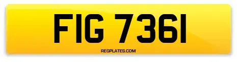 FIG 7361