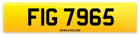 FIG 7965