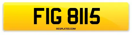 FIG 8115