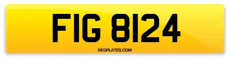 FIG 8124