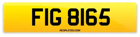 FIG 8165