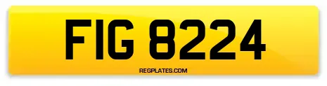FIG 8224