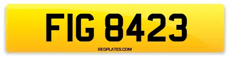 FIG 8423