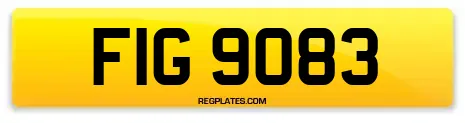 FIG 9083