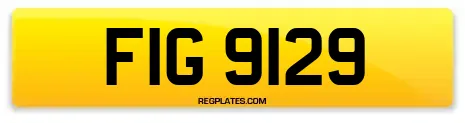 FIG 9129