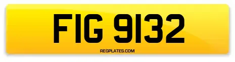 FIG 9132